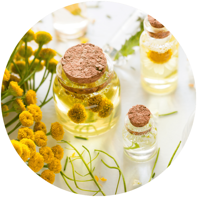 bottles of herbs and oils for use in natural tallow skincare