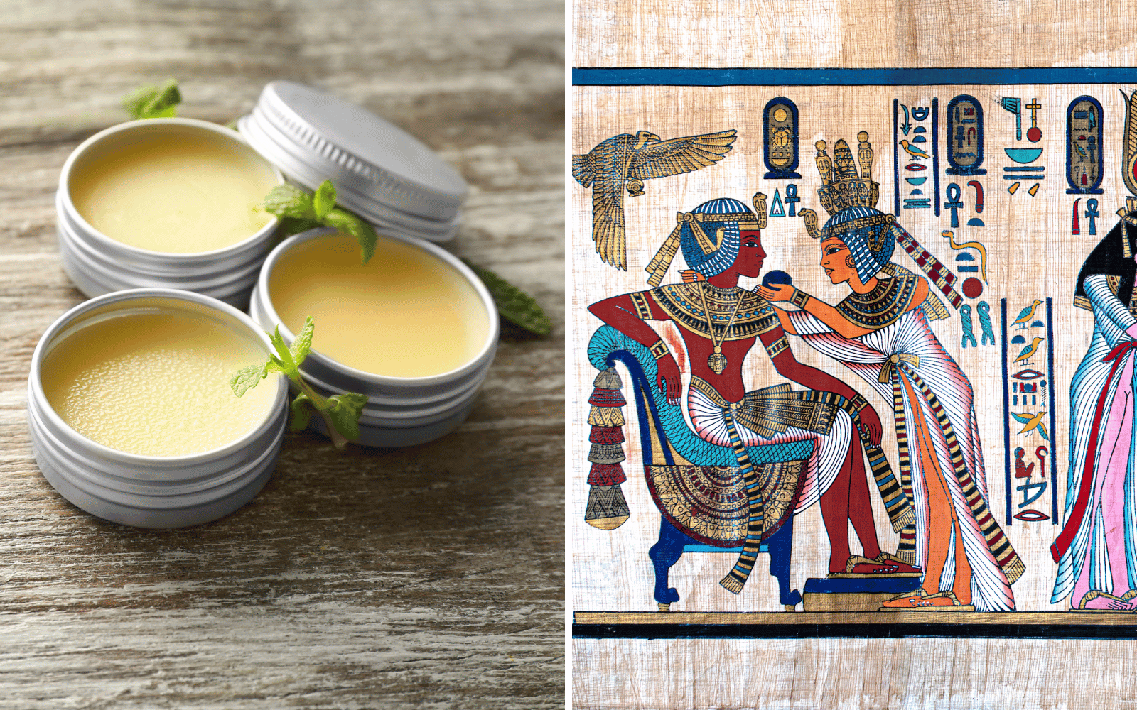 Organic Grass-Fed Tallow for Skin: Ancient Remedy Modern Trend