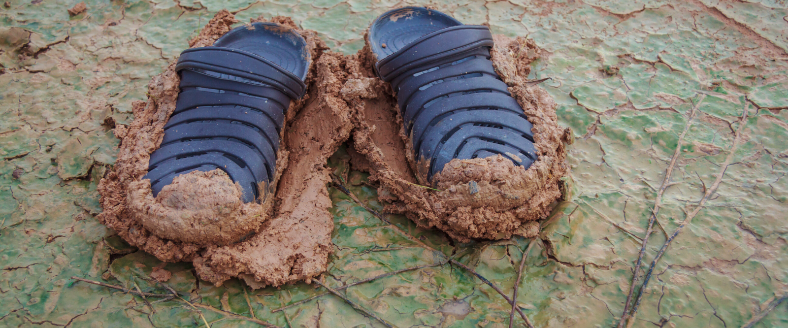 muddy shoes not holistic skincare