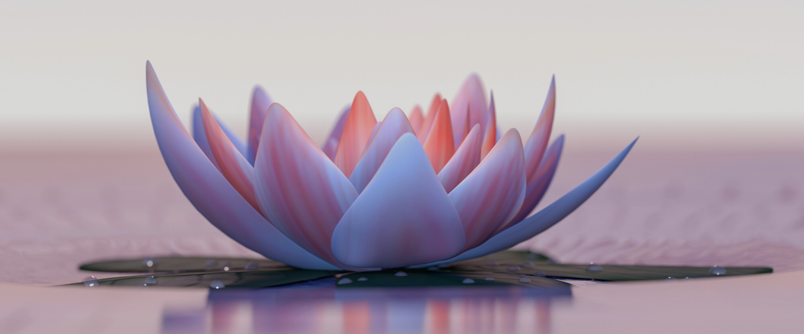nefertem lotus flower on lake