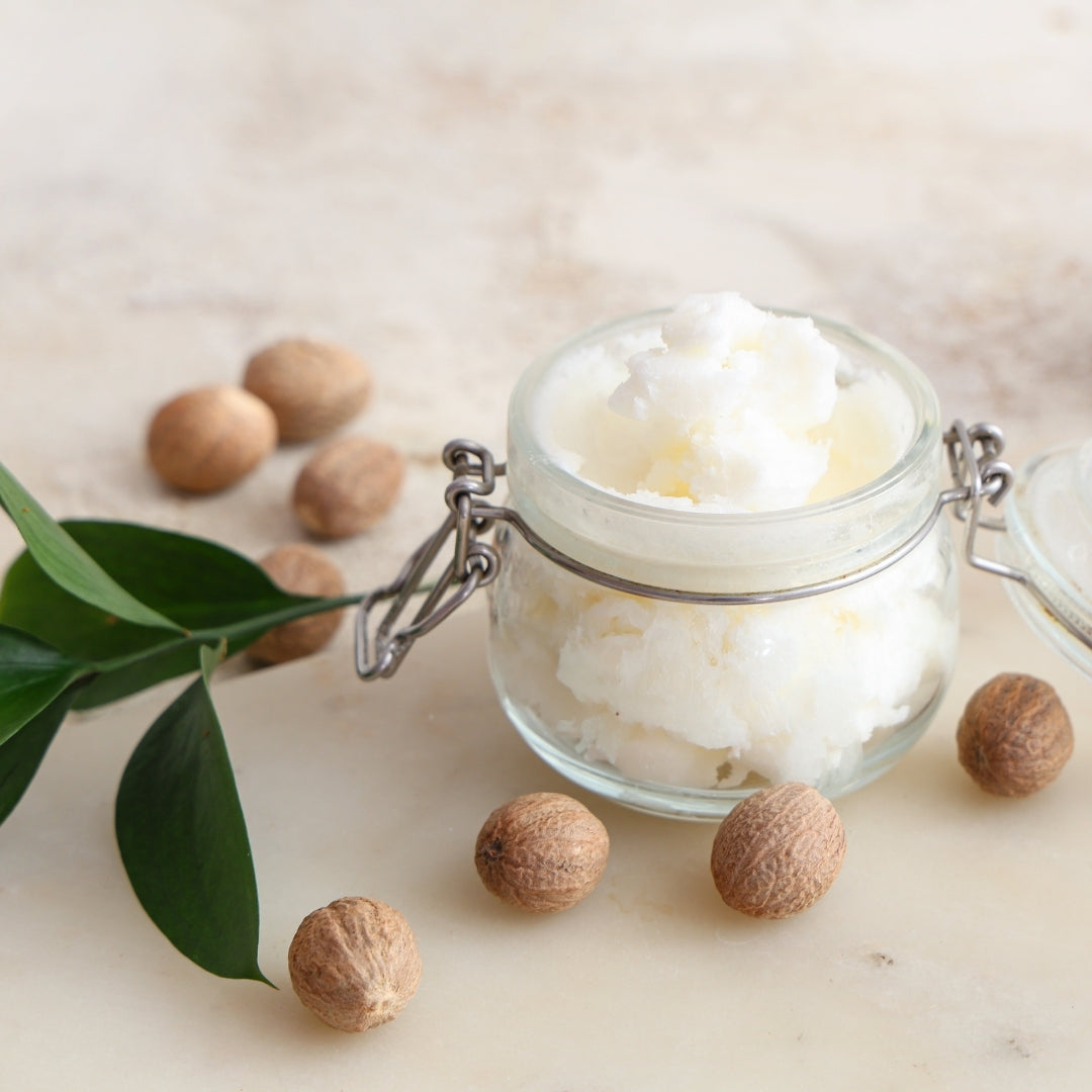 jar of raw tallow with shea butter nuts and green leaf surrounding the jar