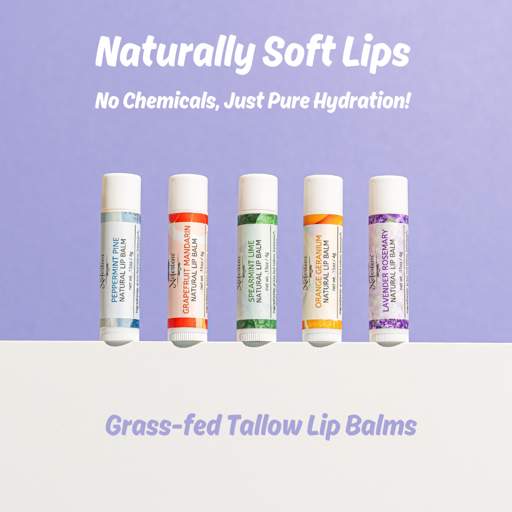 Natural Lip balms with tallow