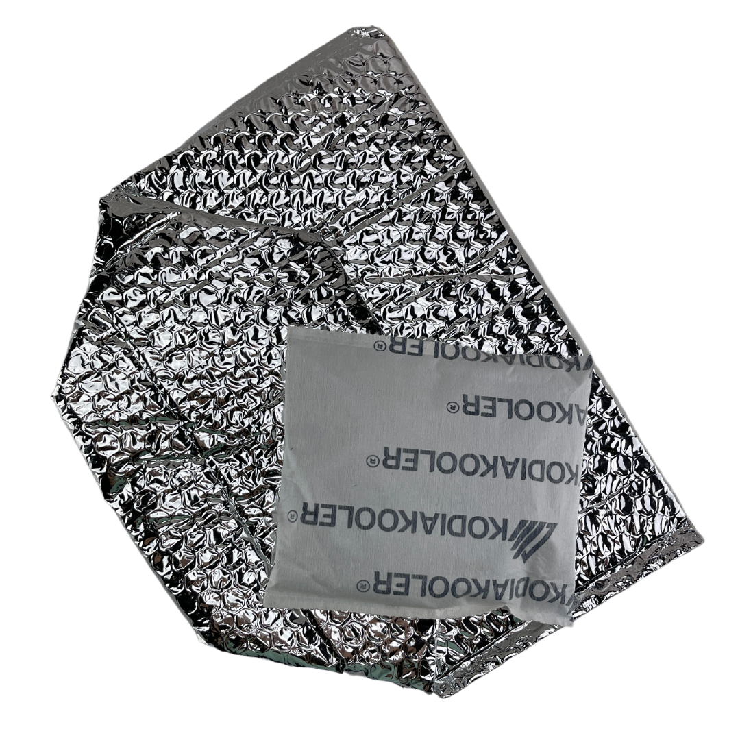 reusable gel packs with insulated cooler